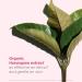 CLARINS Super Restorative Treatment Essence - Anti-Aging Face Lotion for Mature Skin | Smooths Pores Softens Skin & Restores Radiance | 6.7 Fl Oz - International Shipping Available - Buy Online on SooperMarket.com