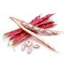 Hunza Organic Cranberry Beans - 2 lbs | Premium Quality, Pack of 1 - Buy Online on SooperMarket.com