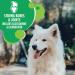 IAMS Proactive Health Dog Food and Dry Cat Food Bundle Dog Food + Cat Food 3.5 lb. 6.80 kg (Pack of 1) - Buy Online on SooperMarket.com