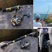 Soougayilang 2.4m Telescopic Fishing Rod & Spinning Roller Combo Carbon Fiber for Salt & Fresh Water Durable & Portable with Carrying Bag - Buy Online on SooperMarket.com