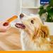 Vitastras Bonas Chewing Rods for Dogs - Chicken & Cheese Snack Grain-Free No Sugar Added 7x80g - Buy Online on SooperMarket.com
