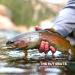 Woolly Bugger Trout Fly Fishing Streamer Assortment 15 Pack Size #8 - Premium Fly Fishing Lures - Buy Online on SooperMarket.com