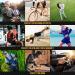 Ruiuzioong Slipproof Arm Warmers for Men & Women - Perfect for Running Cycling Hiking Golf & Basketball - 1 Pair Black - Buy Online on SooperMarket.com