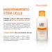 Liss Expert Stem Cells Restoring Conditioner 8.45 fl oz | Salt Free - Best for Hair Restoration | Buy Internationally - Buy Online on SooperMarket.com