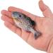 Berkley Powerbait Gilly 90mm HD Bluegill Soft Bait for Effective Fishing - Buy Online on SooperMarket.com