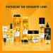 Gliss Cure Hair Oil Elixir 75ml - Nourishing Daily Oil for Dry Hair with Argan Oil & Vitamin E - Non-Greasy Treatment - Buy Online on SooperMarket.com