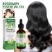Organic Rosemary Oil for Hair Growth | Scalp & Hair Powering Aroma Therapy | Bexdug Pink Marine Oil with Glass Dripper - Improves Split Ends & Dry Scalp - Buy Online on SooperMarket.com