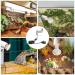 Bonlux 200W Ceramic Reptile Heat Lamp Holder with ON/Off Switch - E27 Base Rotatable Light Holder for Turtle Snake Lizard - No Heat Bulb Included - Buy Online on SooperMarket.com