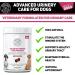 Dog Urinary Health Supplements 60 Soft Chews | Antibiotic Remedy | Stimulates Immune System & Maintains Overall Health | Cranberry & Echinacea | Wheat Free | Veterinarian Formulated Dog Urinary Care - Buy Online on SooperMarket.com