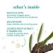 Burt's Bees Natural Acne Solutions Maximum Strength Spot Treatment Cream for Oily Skin  0.5 Oz (Package May Vary) Targeted Spot Treatment - Buy Online on SooperMarket.com