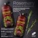 Mystere Beaute Rosemary Shampoo and Conditioner Set - Promotes Hair Growth & Scalp Health - Volumizing Formula - Sulfate & Paraben Free - 16 fl oz each - Buy Online on SooperMarket.com