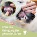 Buy Bamboo Toothbrush for Dogs & Cats - 2 Pack | 100% BPA-Free Dental Care for Clean Teeth & Environment - Buy Online on SooperMarket.com
