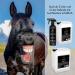 Chevalis Insect Protection for Horses - 10L Canister | Effective Defense Against Flies Mosquitoes and Ticks with Essential Oils - Buy Online on SooperMarket.com