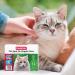 Beaphar Cat Spot On Four Week Protection Flea Repel Solution - Buy Online on SooperMarket.com