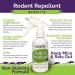 Rodent Repellent Spray 2X Strength - Peppermint Oil - MAX Power for Home, RV, Car, Camper, Boat - Natural Mouse & Rat Repellent (2 Pack) - Buy Online on SooperMarket.com