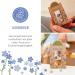 City Gardeners Trostspender: Forget-Me-Not Glass Gift | Handmade Consolation for Friends Teachers & Encouragement | Unique Farewell Gift from Germany - Buy Online on SooperMarket.com