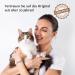 Buy Carnello Cat Treats - Delicious Cat Spaghetti & Snacks | Healthy Delicacies for Cats (4 x 30g) - Buy Online on SooperMarket.com