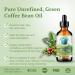 Green Coffee Bean Oil 236 ml Rich in Antioxidants Natural Moisturizer Versatile Use Bella Terra Oils  - Buy Online on SooperMarket.com