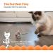 Petstages Squeak Squeak Mouse Plush Catnip Cat Toy - Buy Online on SooperMarket.com