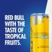 Red Bull Sugar Free Tropical Edition Energy Drink 250ml x12 - Buy Online - Buy Online on SooperMarket.com