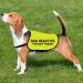 Reactive Dog Jacket Vest Dog Reactive Dog Training/Reactive Not Aggressive Service Dog Slogan Warning Vest (REACTIVE Training L EU) - Buy Online on SooperMarket.com
