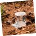 Sosoport Pet Water Feeder Clear Ants Feeder Ant Keeper Tools Ant Nest Water Cup Ant Bowl Automatic Ants Feeder Ants Feeding Device Ant Waterer Ant Feeder Ant Nest Entrance Feeder - Buy Online on SooperMarket.com