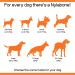 Nylabone Power Chew Chicken Dental Chew Toy Medium - for Dogs up to 16kg - Buy Online on SooperMarket.com