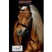 Buy Tysons Breeches Bridle in Rose Gold | Mini Shetty Riding Bridle with Leather Glitter Rhinestones + Reins - International Shipping Available - Buy Online on SooperMarket.com
