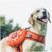 OneTigris Mammoth Dog Backpack 2.0 - Tear-Proof Camping & Hiking Gear for Medium/Large Dogs (M Orange) - International Shipping Available - Buy Online on SooperMarket.com