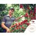 CofiCafe 6 Lbs Specialty Colombian Unroasted Green Coffee - Tatama Valle del Cauca (SCA 87) - Buy Online on SooperMarket.com