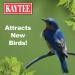 Kaytee Mealworm Food Pouch 17.6 oz - Premium Bird Food for Healthy Mealworms - Buy Online on SooperMarket.com