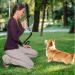 Fannas Dog Whistle Set - 2 Adjustable High-Frequency Whistles for Effective Dog Training | Loud Far-Reaching & Comes with Free Pipe Band - Blue/Orange - Buy Online on SooperMarket.com