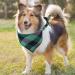 4 Pack Dog Bandanas Dog Bandanas for Large Dogs Adjustable Classic Checkered Bandana for Dogs Stylish Reversible Triangle Dog Bandana for Small Medium Large Dogs Cat Pets - Buy Online on SooperMarket.com