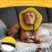 BONTHEE Soft Dog Cone Alternative After Surgery Dog Cone Collar for Small Dogs Adjustable Dog Recovery Collars for Pet Lightweight E-Collars for Dogs Elizabethan Collar for Dogs Stop Licking(XL) S Yellow - Buy Online on SooperMarket.com