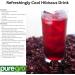Puregro Hibiscus Flowers Whole Dried | 1kg | Pack of 1 | Hibiscus Tea Infusion | Flor de Jamaica | Dried Sorrel | Quality Ingredient for Brewing & Distilling - Buy Online on SooperMarket.com