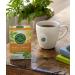 Traditional Medicinals Organic Belly Comfort Tea - Caffeine-Free Peppermint, 16 Wrapped Bags (0.99 oz) - Buy Online on SooperMarket.com