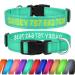Tagme personalized dog collar for small dog with embroidered reflective nylon dog collar with pet name & telephone number turquoise XS XS (1 Pack) turquoise