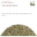 Barbeque Grill Spice Gourmet Quality - Grilling Spices Seasoning for BBQ - 100g - Buy Online on SooperMarket.com
