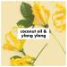Love Beauty And Planet Coconut Oil and Ylang Ylang Deodorant 2.95 oz - Pack of 1 - Buy Online on SooperMarket.com