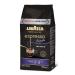 Buy Luigi Lavazza Espresso Barista Intenso - Aromatic Coffee Beans 1.1kg Pack - Premium Italian Espresso for International Shipping - Buy Online on SooperMarket.com