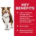 Hill's Science Diet Senior 7+ Canned Dog Food: Savory Stew with Beef & Vegetables + Chicken & Barley Entr e (12 Packs Each) - Buy Online on SooperMarket.com