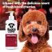 Black Cherry Dog Shampoo | BuddyCare - Deep Cleaning Fruity Fragrance Aloe Vera & Pro-Vitamin B5 (500ml) - International Shipping Available - Buy Online on SooperMarket.com