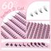 Parriparri 20D D Curl Cluster Lashes 200 Pcs Individual Reusable Soft Russian Lashes Extension Kit - Buy Online on SooperMarket.com