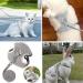 Taicols Adjustable Leash Set for Rabbits & Cats - 120cm Breathable Dishes & Soft Pet Leash for Outdoor Walking - Buy Online on SooperMarket.com