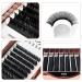 Dassen Easy Fan Volume Lashes 0.07 DD Curl - Mix8-15 | Long Lasting 2D to 10D Blooming Lashes - Buy Online on SooperMarket.com