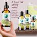 Pure Grape Seed Oil 236 ml Antioxidant-Rich Lightweight Radiant Skin Frizz-Free Hair Silky Touch Bella Terra Oils 236 ml (Pack of 1) - Buy Online on SooperMarket.com