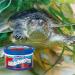 King British | Bloodworm Treats | For All Coldwater Tropical & Marine Fish Turtles & Terrapins | High Protein & Iron | Provides Excellent Colour & Condition | Complementary Treats | 7g Single - Buy Online on SooperMarket.com