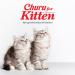 Churu Katzensnacks for Kittens - Healthy Tuna Treats for Young Cats Under 12 Months (56 Pieces 1 Pack) - Buy Online on SooperMarket.com