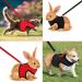 2-Pack Adjustable Pet Dishes & Leash for Rabbits Squirrels Bunnies Ferrets & Chinchillas - Ideal for International Shipping - Buy Online on SooperMarket.com