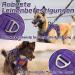 Rabbitgoo Adjustable Dog Harness for Medium Dogs - Durable Tactical Wear-Resistant with Metal Buckles & Handles - Perfect for Hiking (Purple M) - Buy Online on SooperMarket.com
